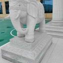 枣庄 白麻花岗岩动物异形石雕-大象