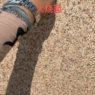 枣庄黄金麻火烧面