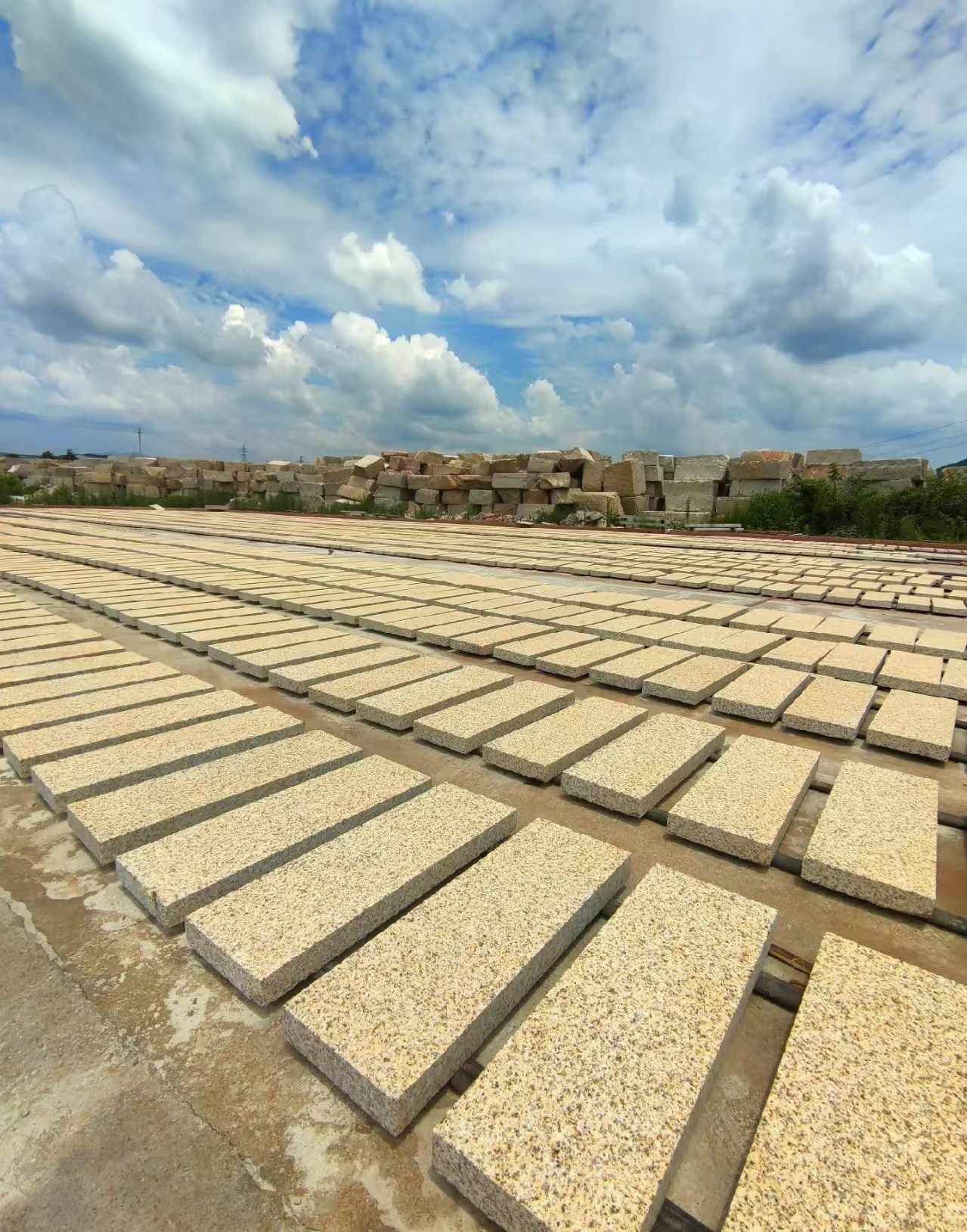 枣庄 黄金麻荔枝面花岗岩石材地铺石防护中