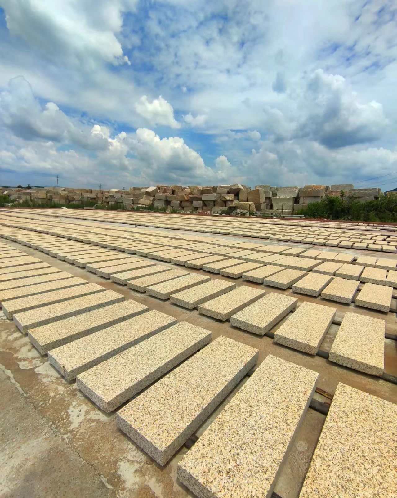 枣庄 黄金麻花岗岩荔枝面地铺石防护中